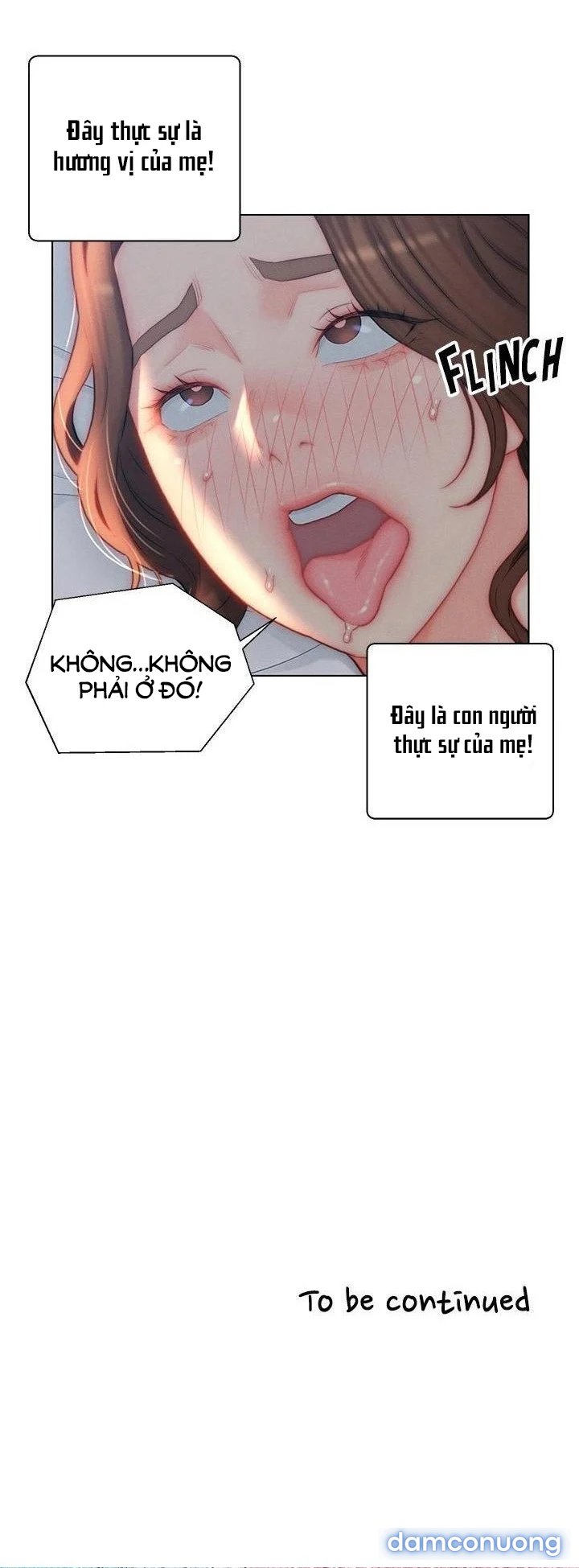 Con Rể Yêu 