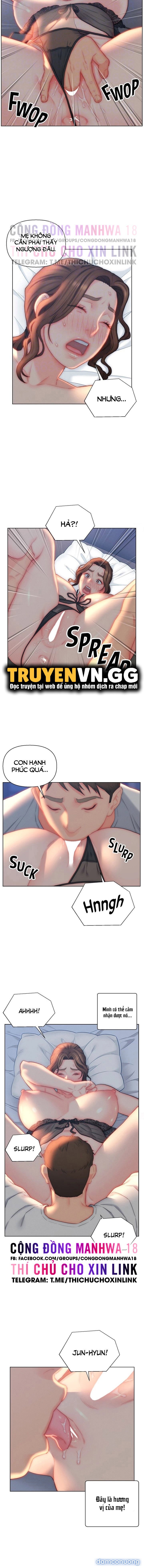 Con Rể Yêu 