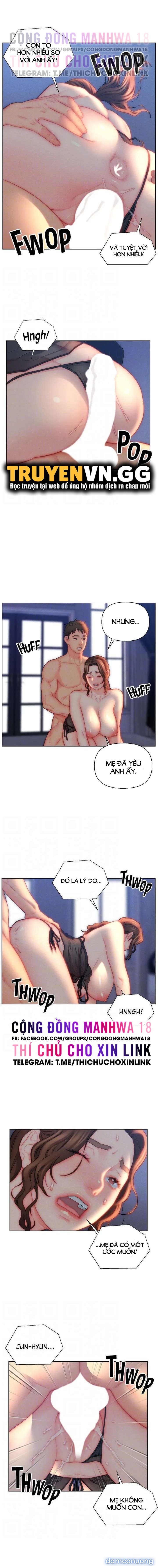 Con Rể Yêu 