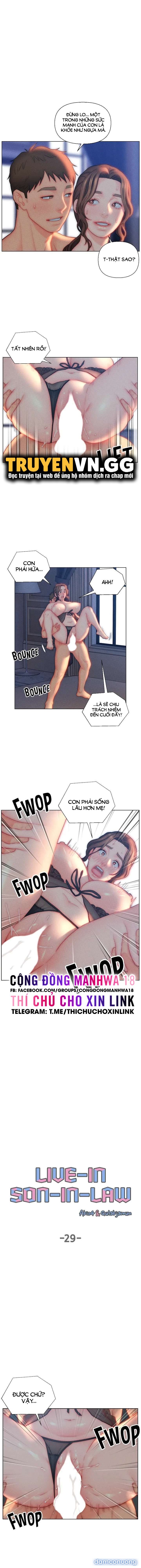 Con Rể Yêu 