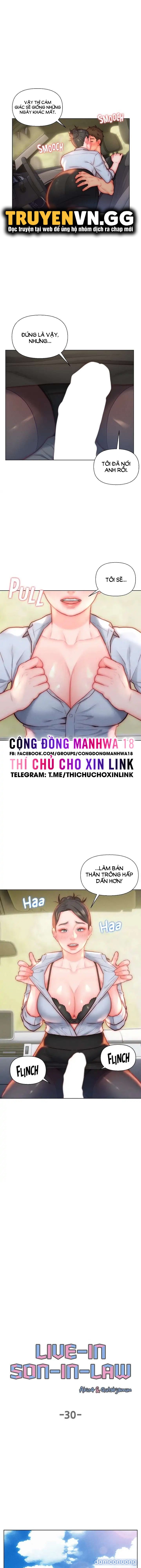 Con Rể Yêu 