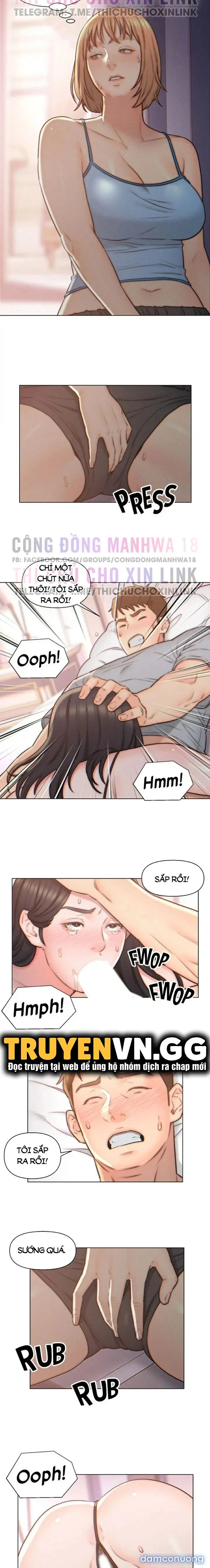 Con Rể Yêu 