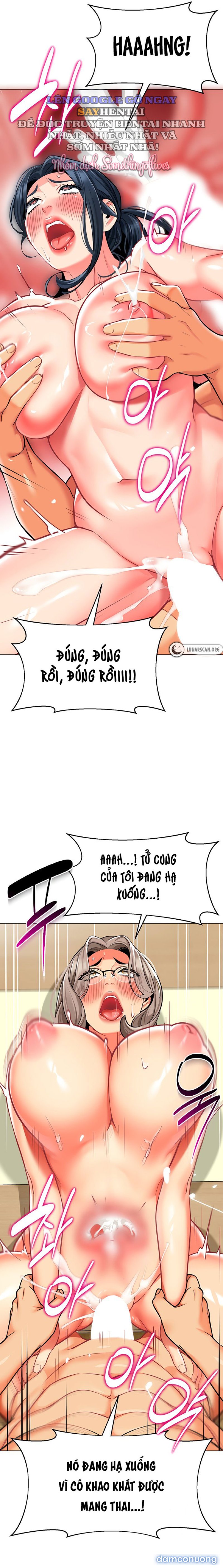 Cuộc Đời Dân Tổ 