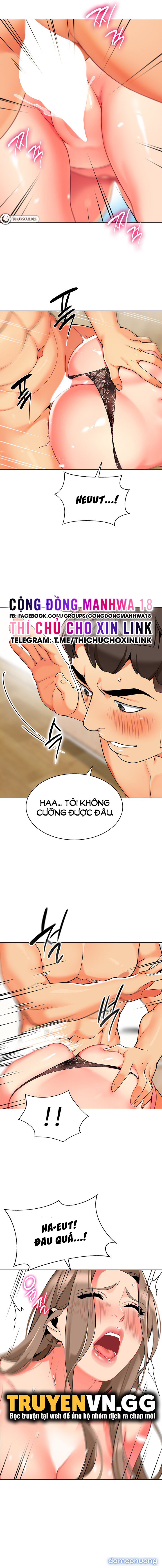 Cuộc Đời Dân Tổ 