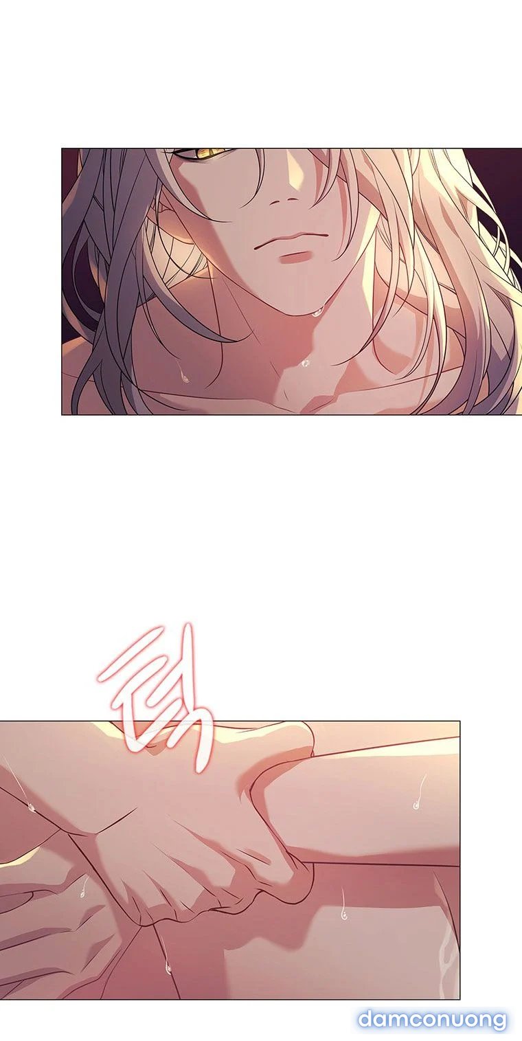 [18+] Ve Vãn, Mê Hoặc Hồ Ly 