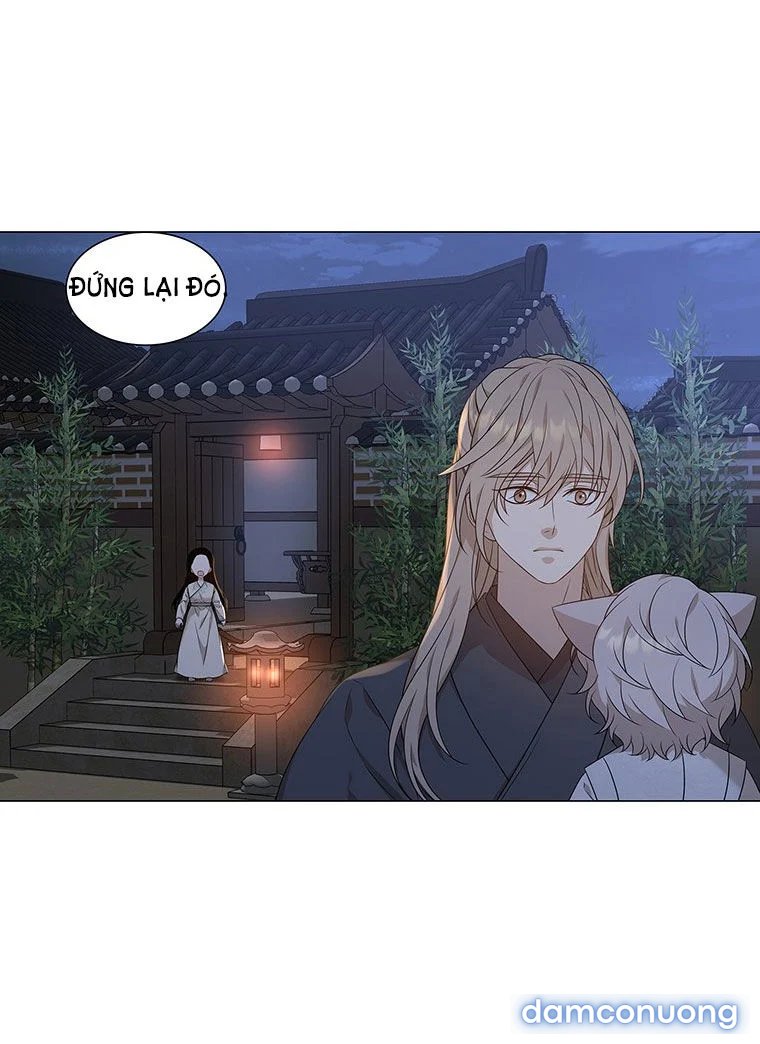 [18+] Ve Vãn, Mê Hoặc Hồ Ly 