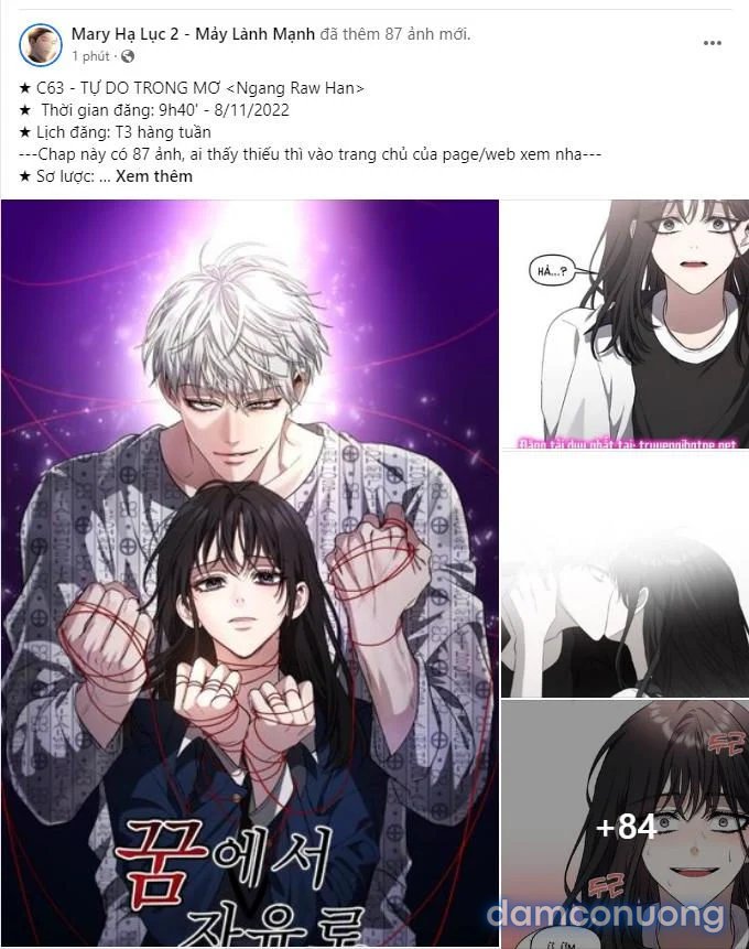 [18+] Ve Vãn, Mê Hoặc Hồ Ly 
