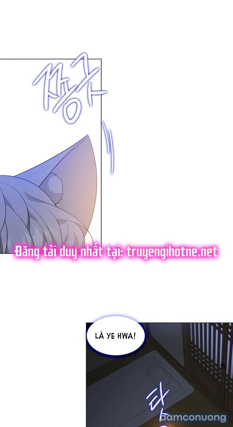 [18+] Ve Vãn, Mê Hoặc Hồ Ly 