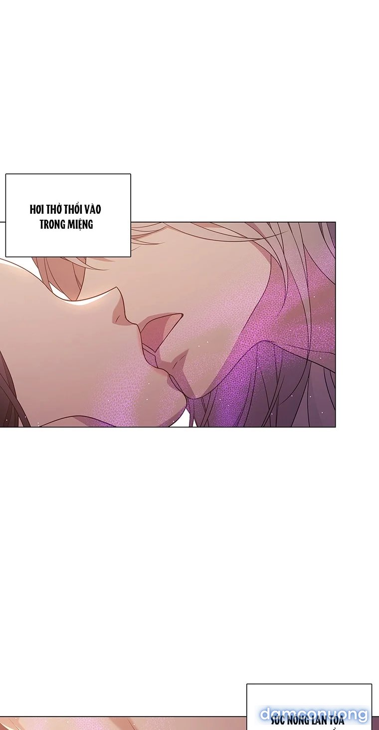 [18+] Ve Vãn, Mê Hoặc Hồ Ly 