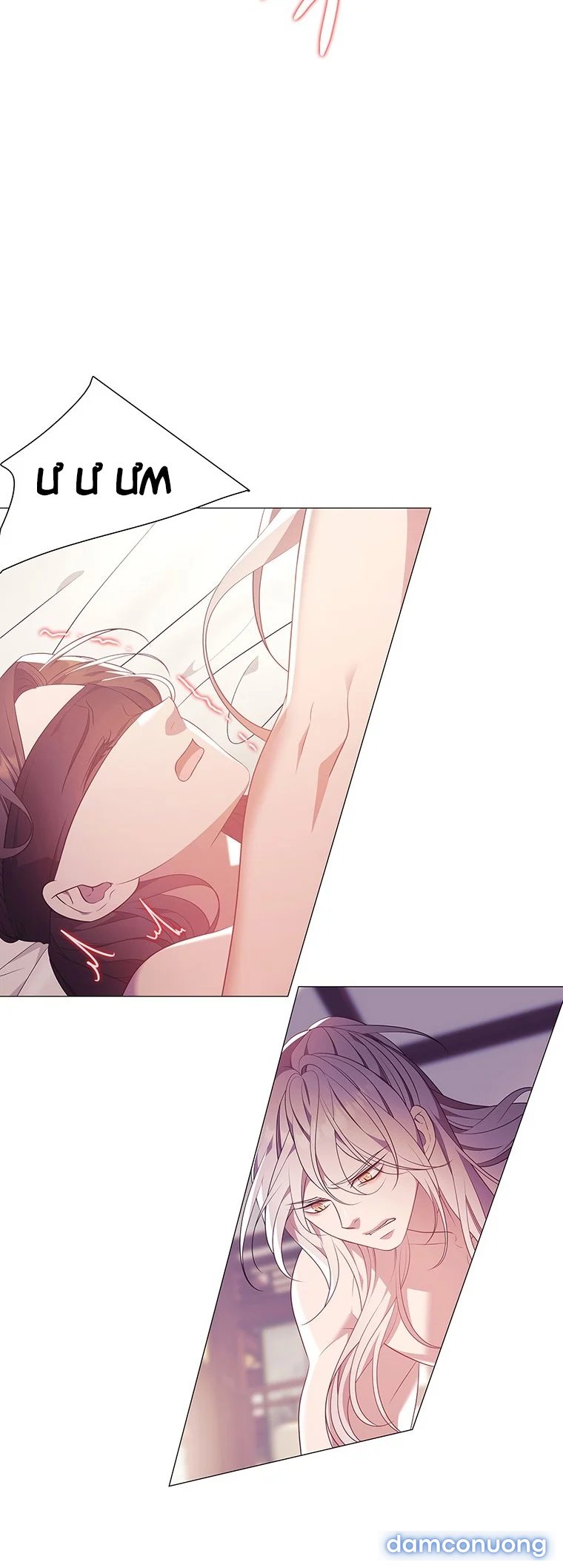 [18+] Ve Vãn, Mê Hoặc Hồ Ly 