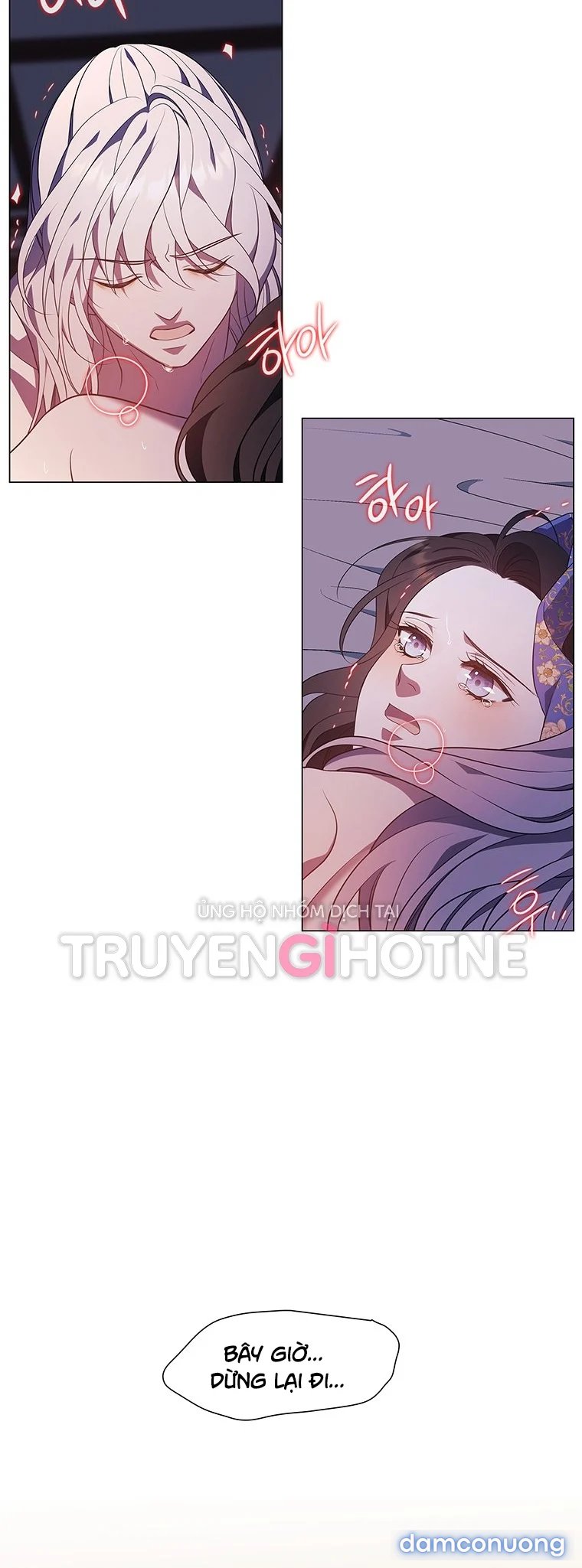 [18+] Ve Vãn, Mê Hoặc Hồ Ly 