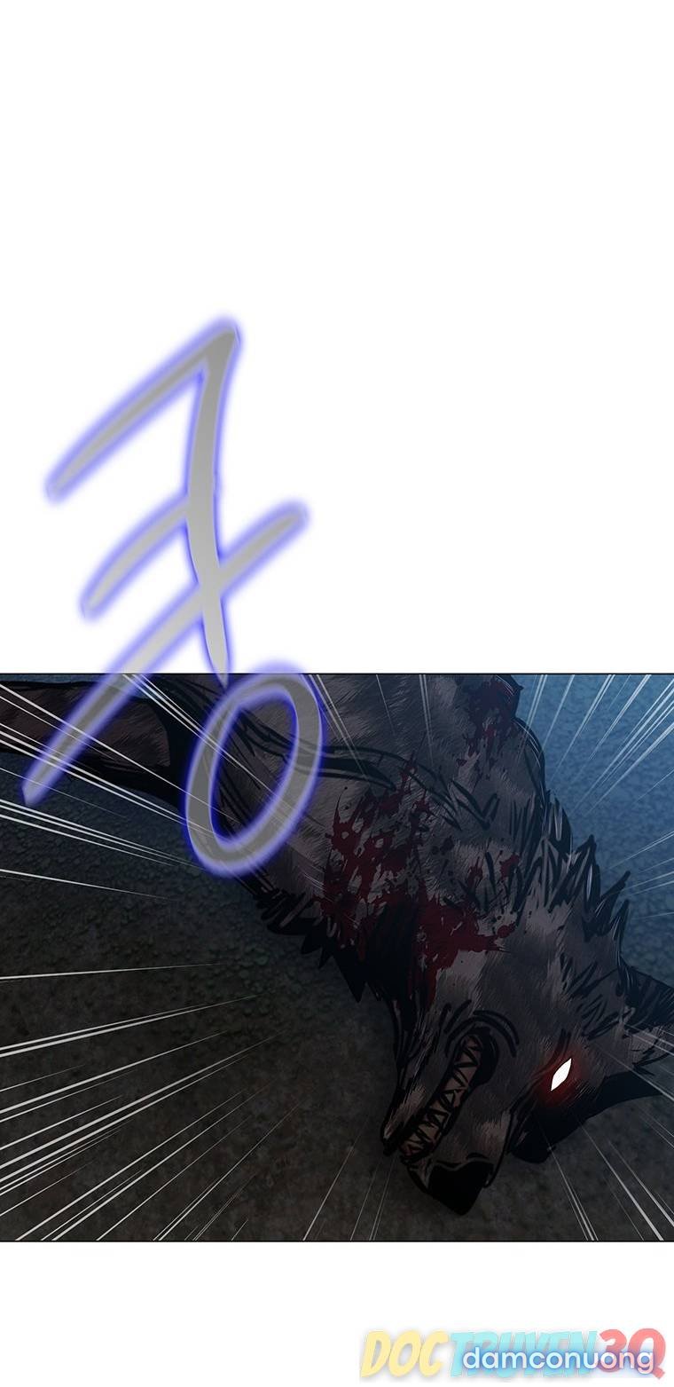 [18+] Ve Vãn, Mê Hoặc Hồ Ly 