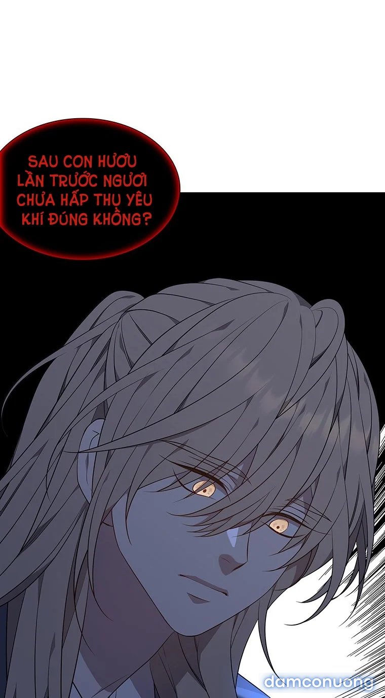 [18+] Ve Vãn, Mê Hoặc Hồ Ly 