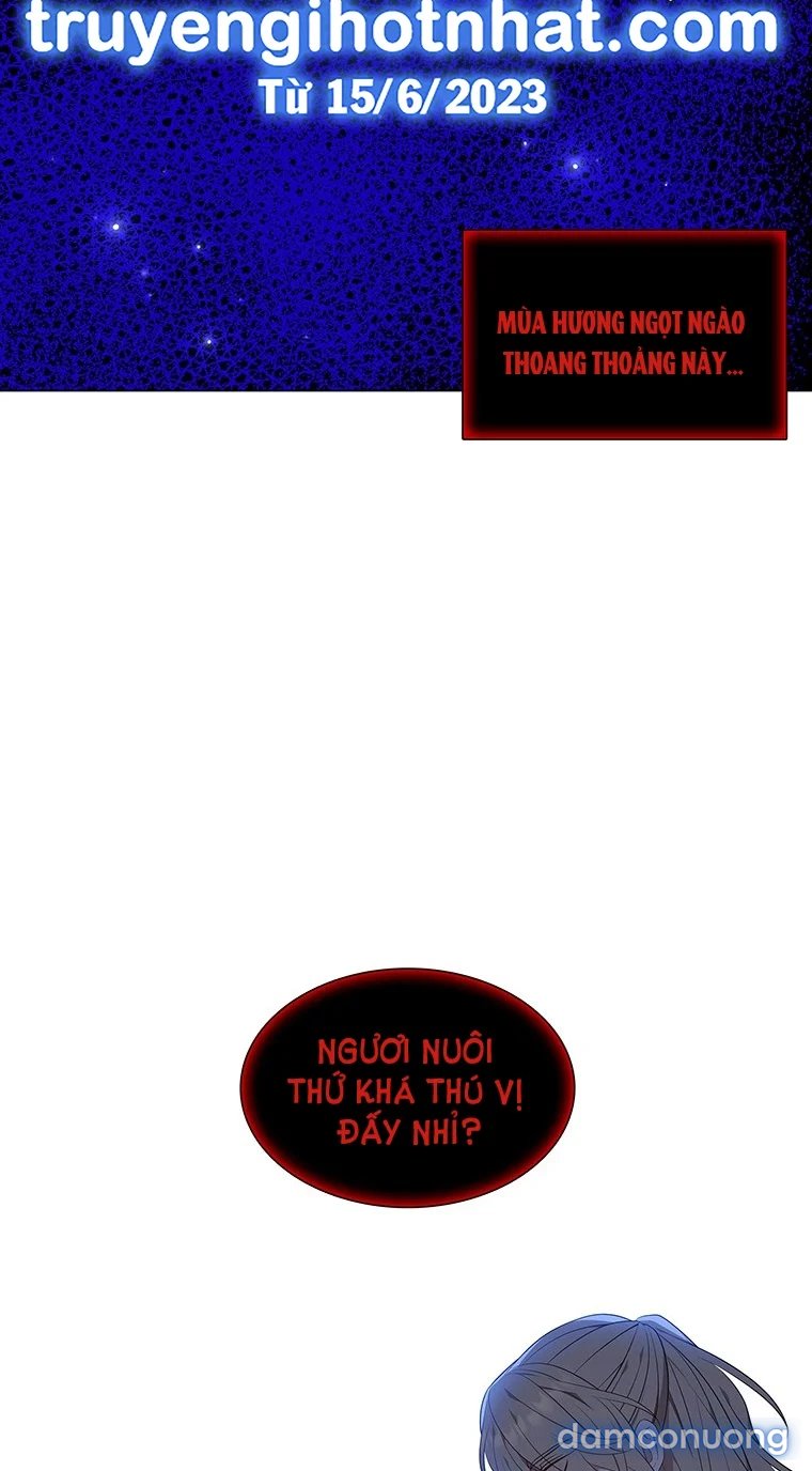 [18+] Ve Vãn, Mê Hoặc Hồ Ly 