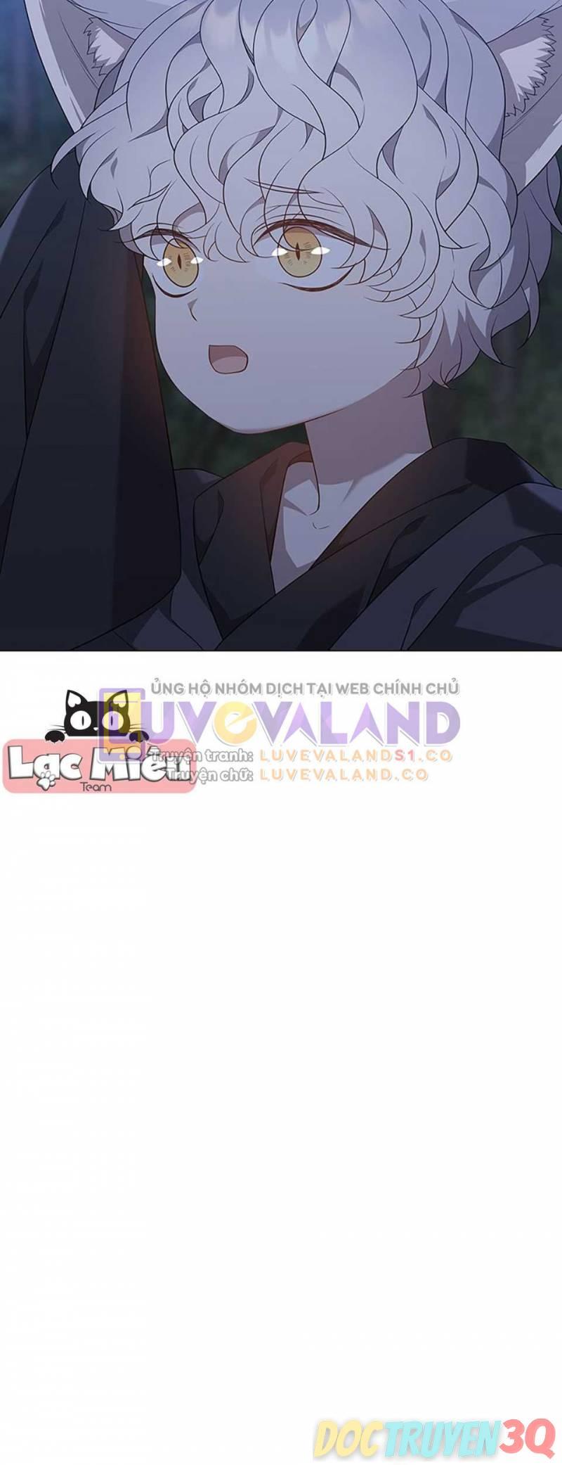[18+] Ve Vãn, Mê Hoặc Hồ Ly 