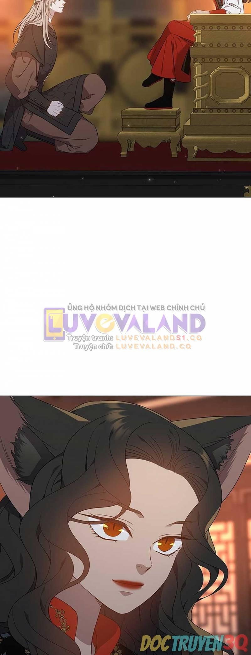 [18+] Ve Vãn, Mê Hoặc Hồ Ly 