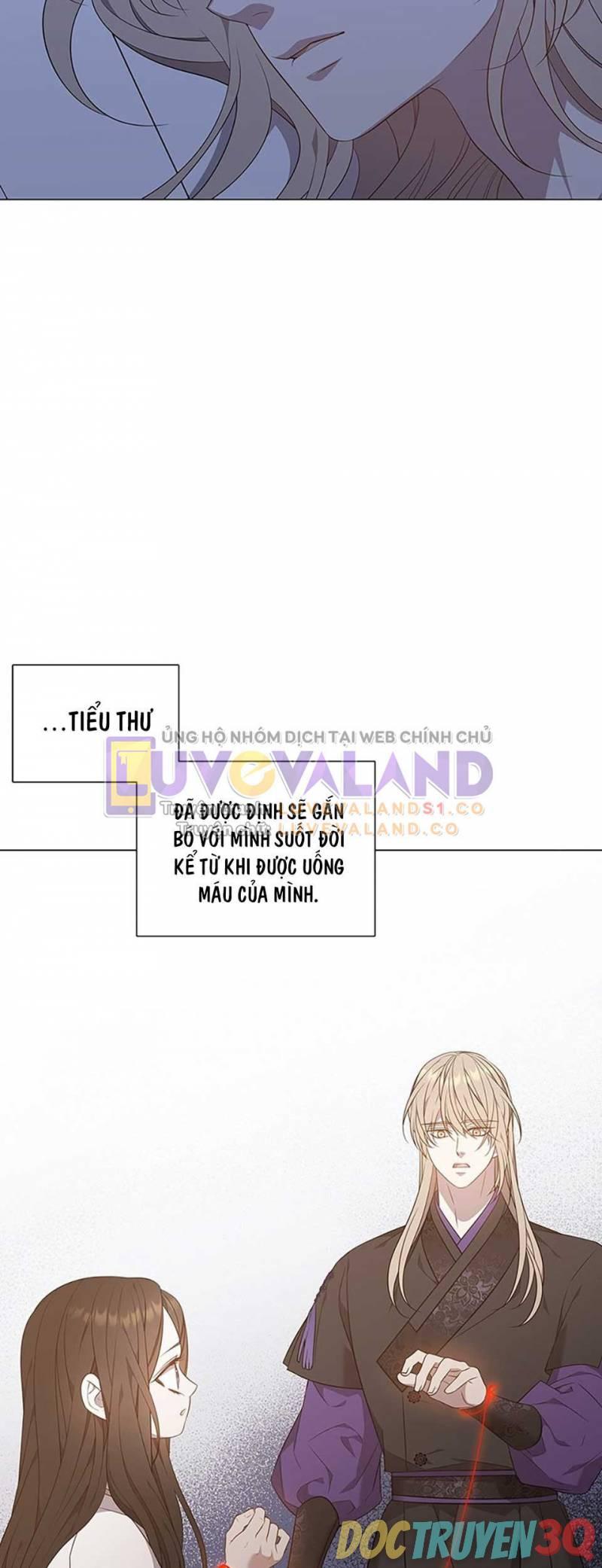 [18+] Ve Vãn, Mê Hoặc Hồ Ly 