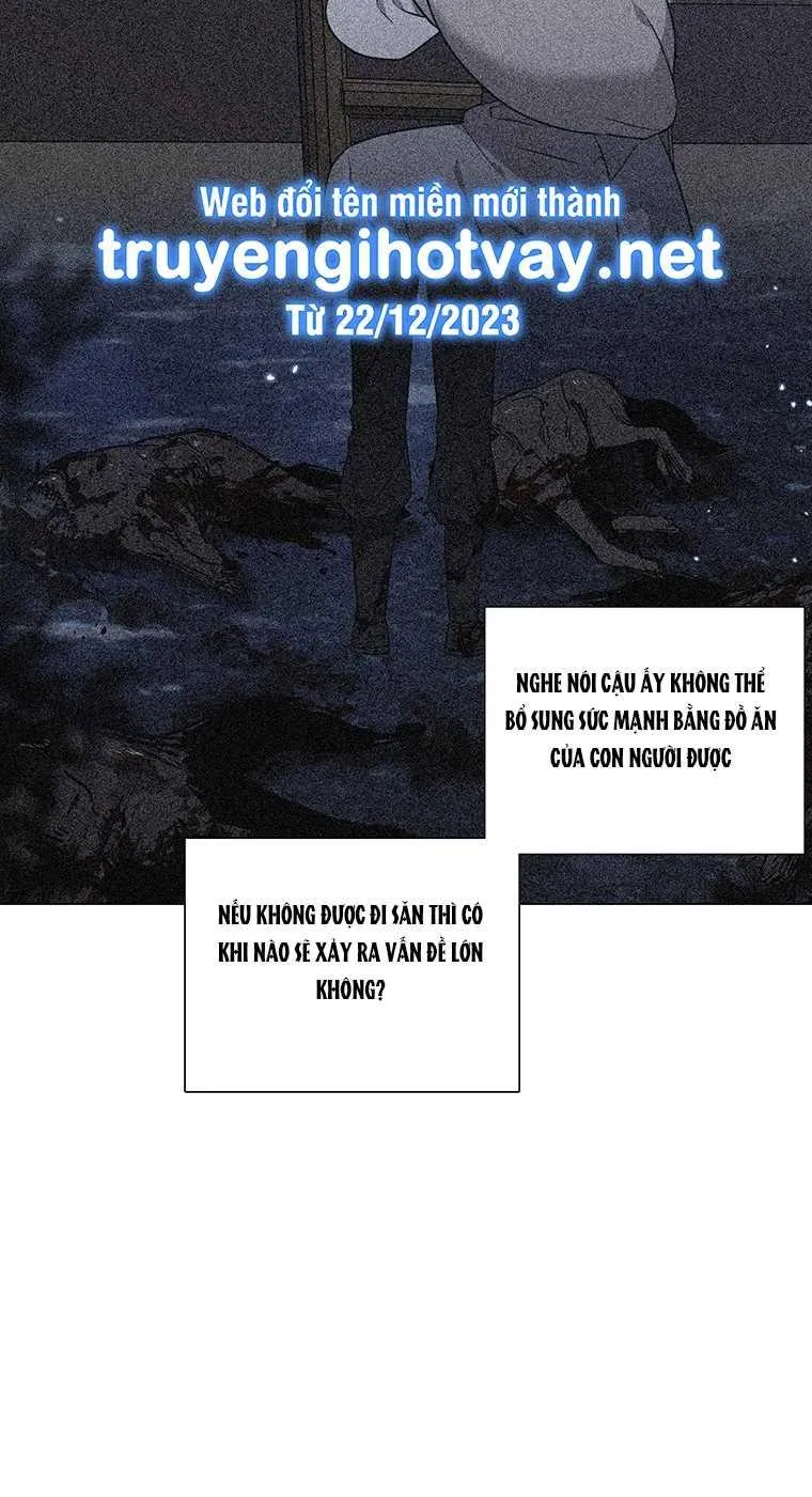 [18+] Ve Vãn, Mê Hoặc Hồ Ly 
