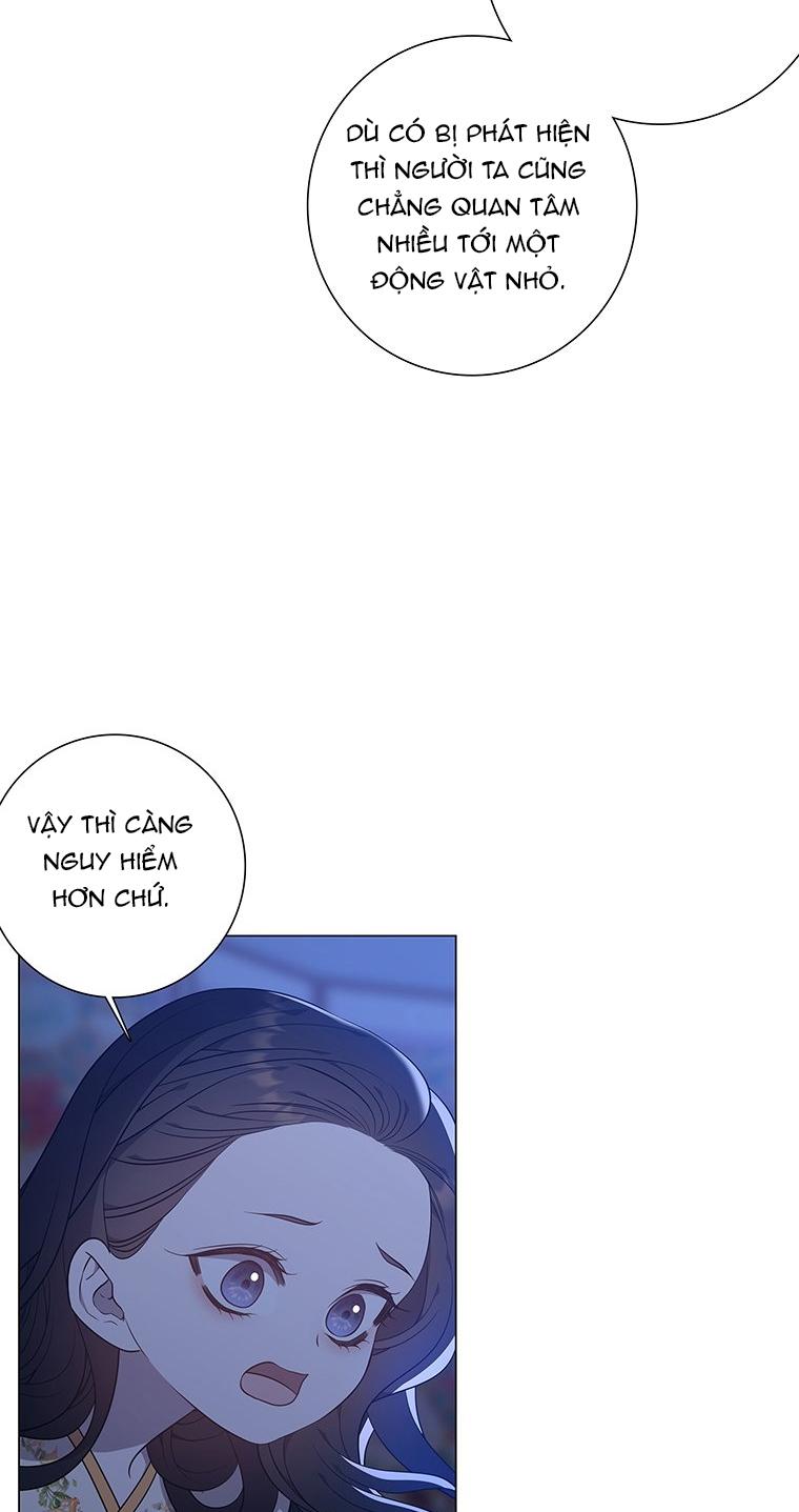 [18+] Ve Vãn, Mê Hoặc Hồ Ly 