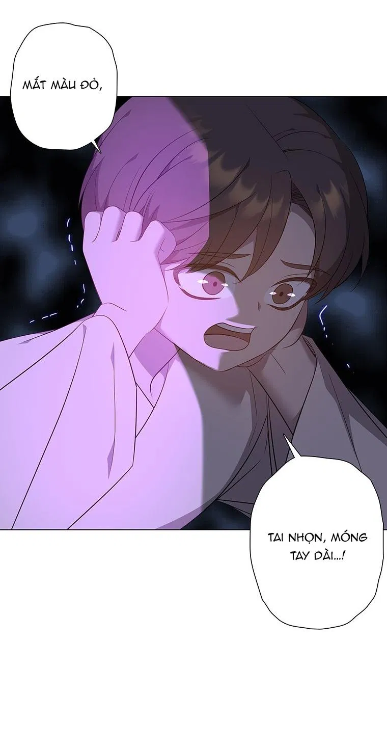 [18+] Ve Vãn, Mê Hoặc Hồ Ly 