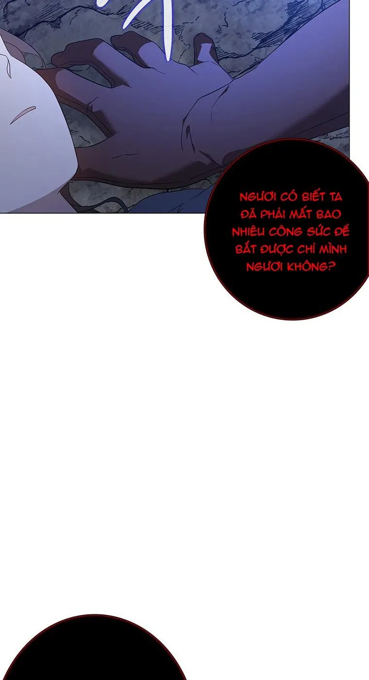 [18+] Ve Vãn, Mê Hoặc Hồ Ly 