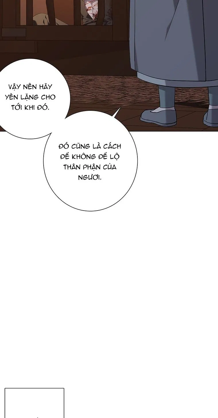 [18+] Ve Vãn, Mê Hoặc Hồ Ly 