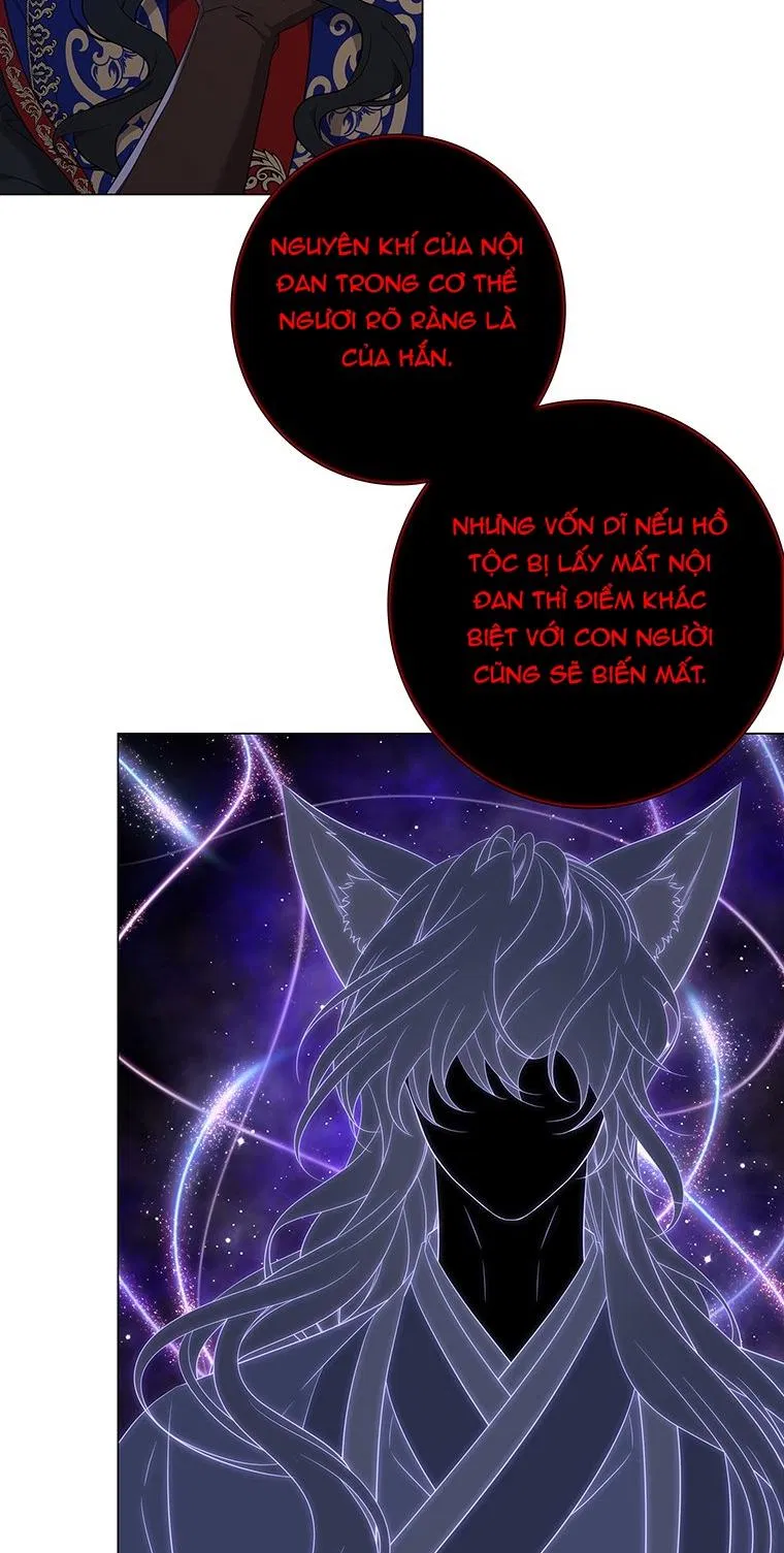 [18+] Ve Vãn, Mê Hoặc Hồ Ly 