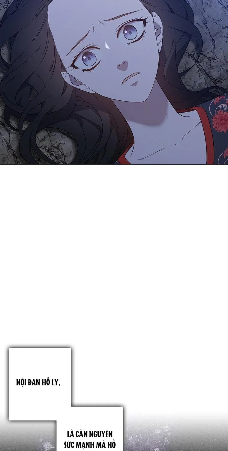[18+] Ve Vãn, Mê Hoặc Hồ Ly 