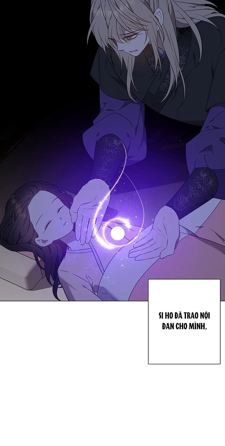 [18+] Ve Vãn, Mê Hoặc Hồ Ly 