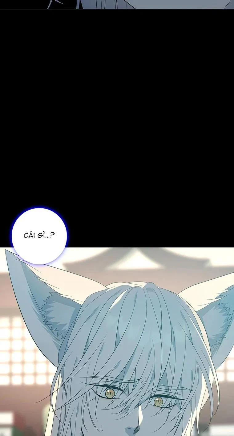[18+] Ve Vãn, Mê Hoặc Hồ Ly 