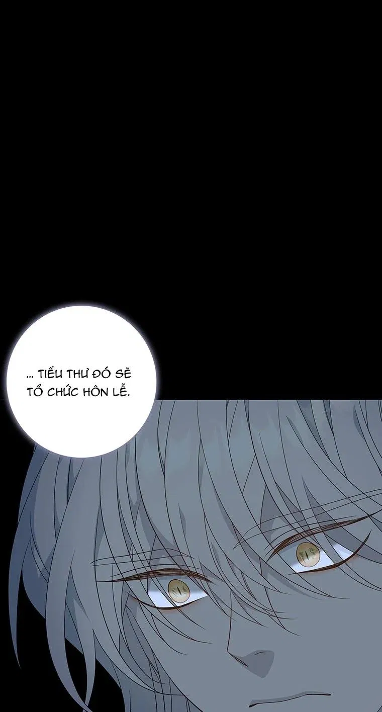 [18+] Ve Vãn, Mê Hoặc Hồ Ly 