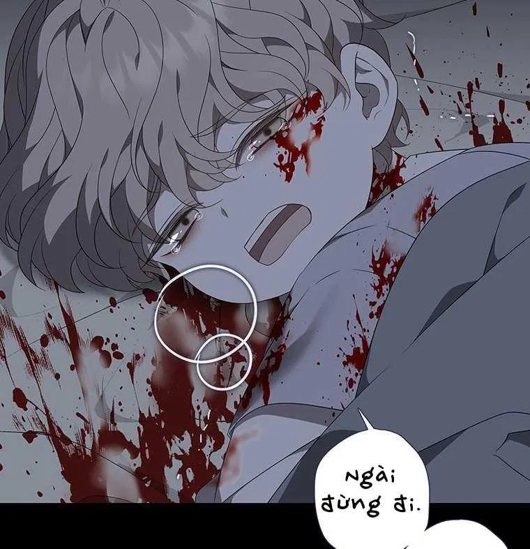 [18+] Ve Vãn, Mê Hoặc Hồ Ly 