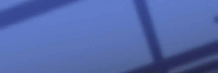 [18+] Ve Vãn, Mê Hoặc Hồ Ly 