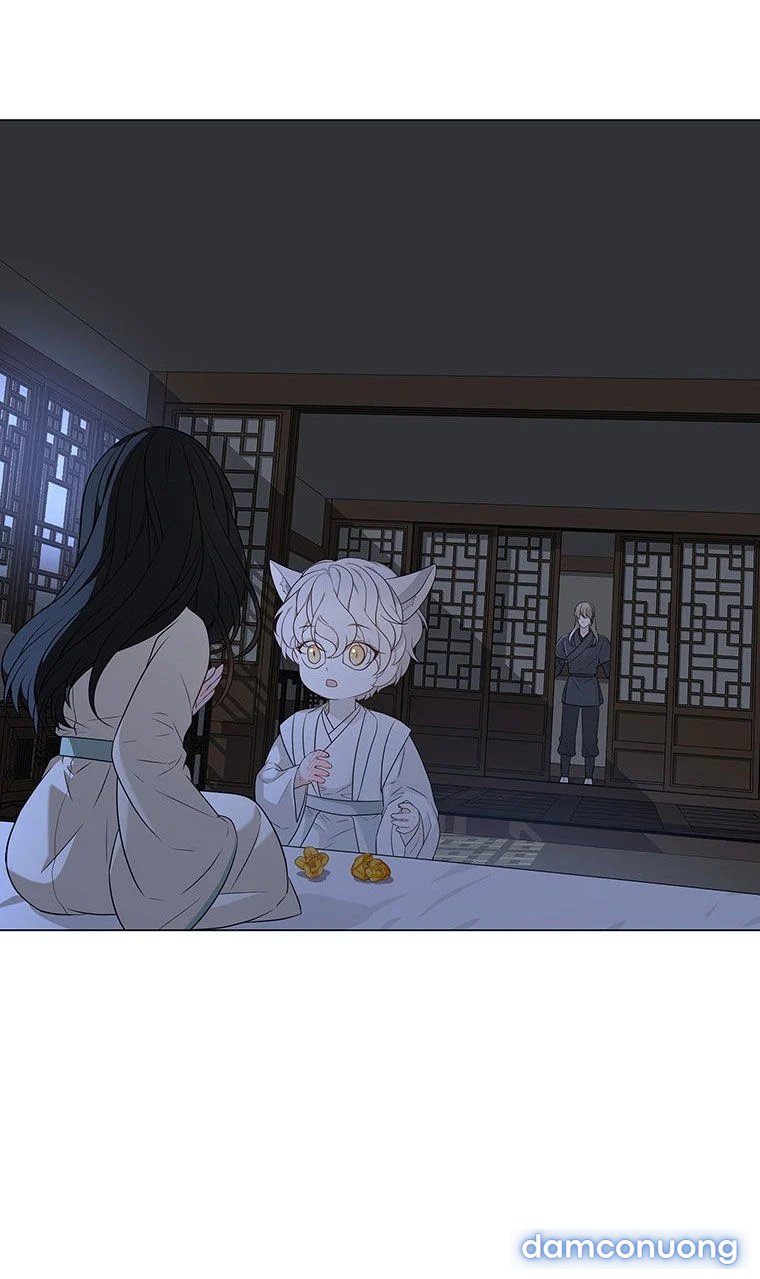 [18+] Ve Vãn, Mê Hoặc Hồ Ly 