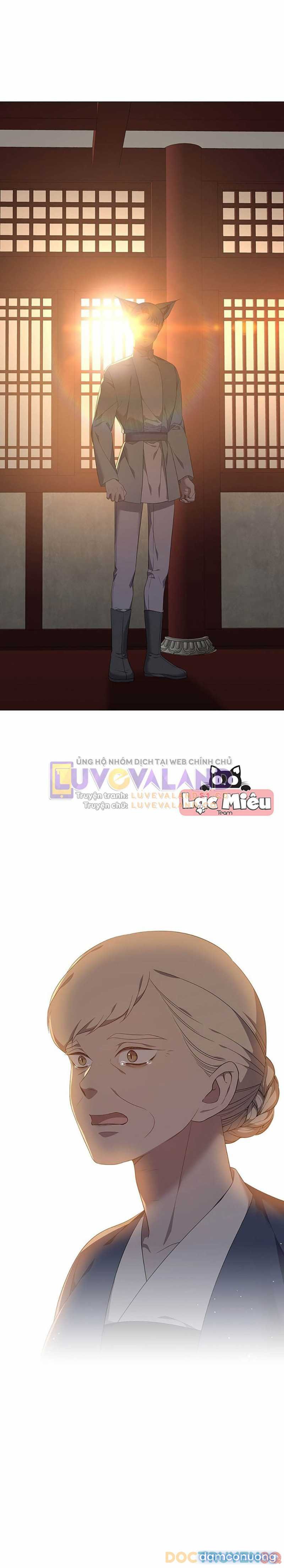 [18+] Ve Vãn, Mê Hoặc Hồ Ly 