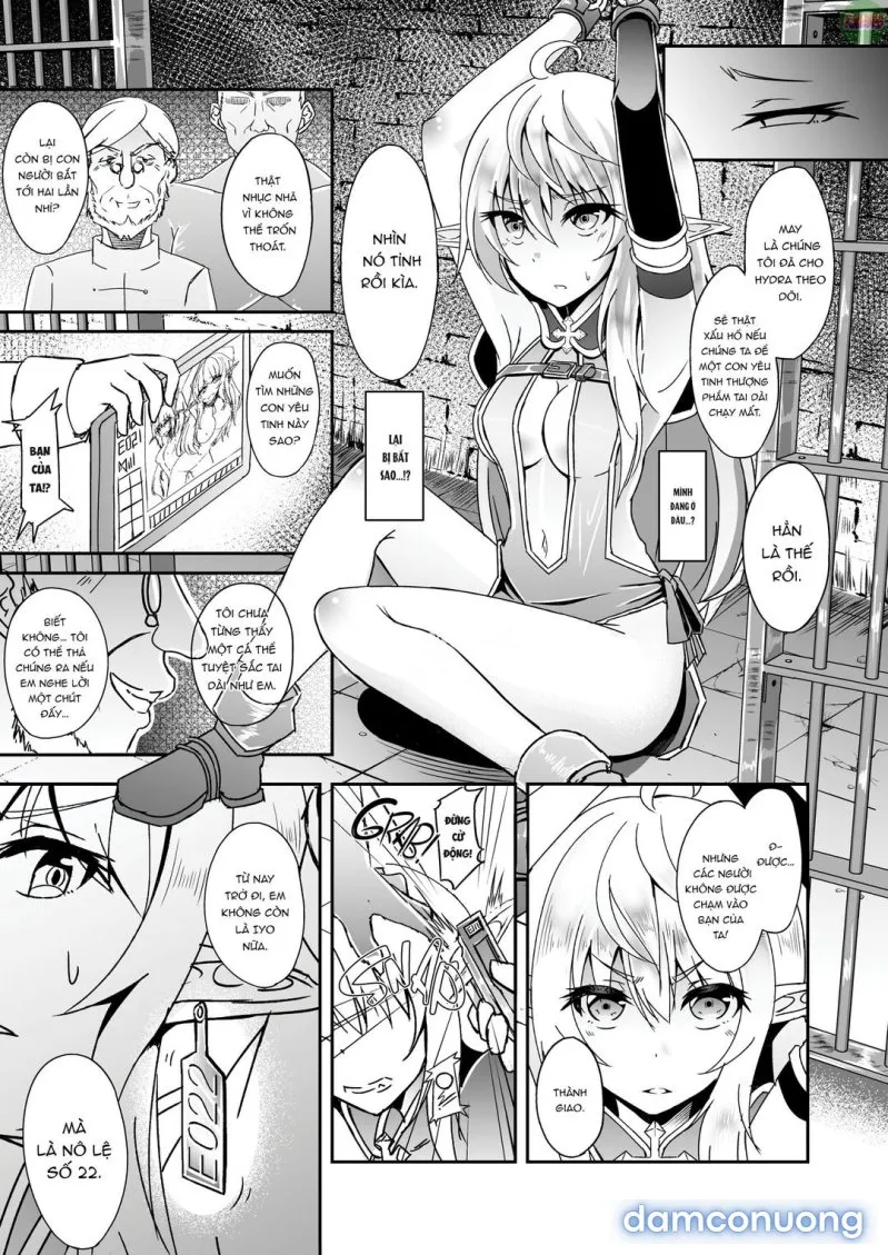 Nàng elf bỏ trốn 