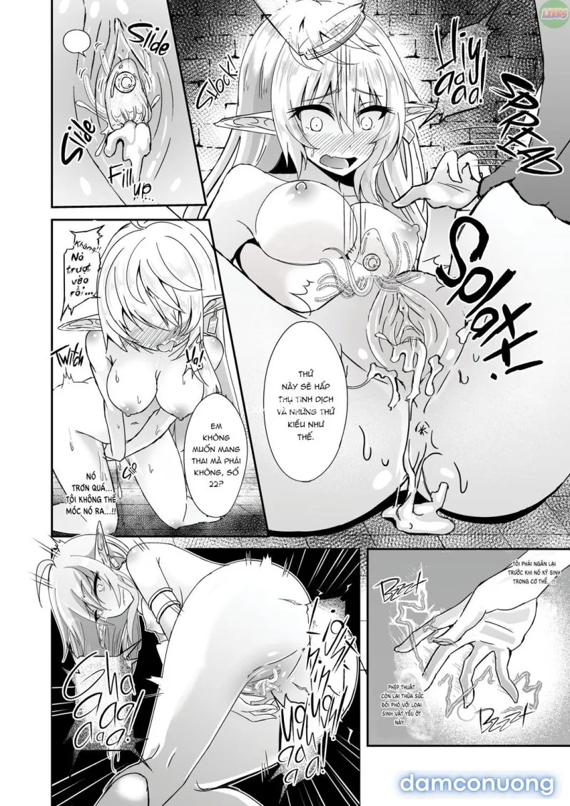 Nàng elf bỏ trốn 