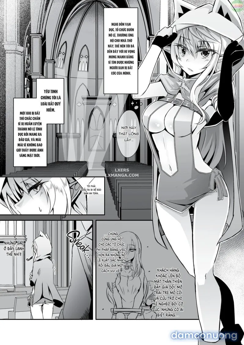 Nàng elf bỏ trốn 