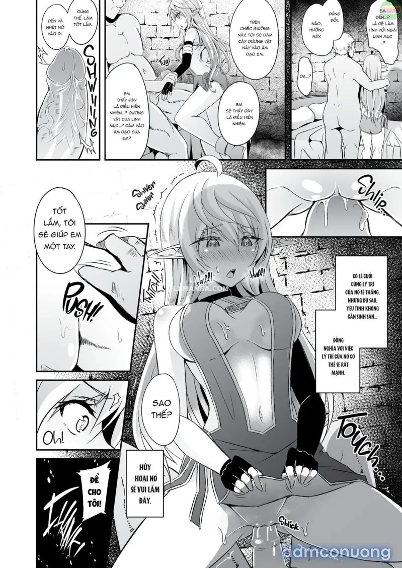 Nàng elf bỏ trốn 