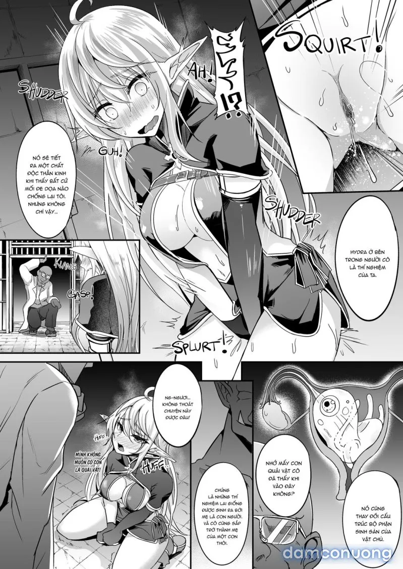 Nàng elf bỏ trốn 