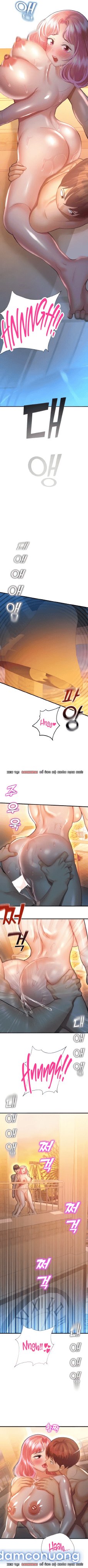 Vùng đất định mệnh 