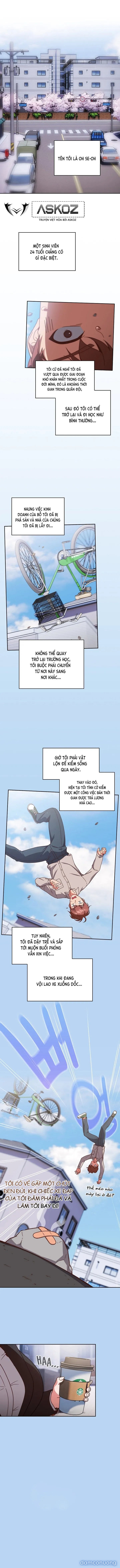 Công việc bán thời gian ngọt ngào. 