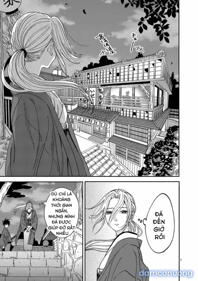 Đám Cưới Đom Đóm 