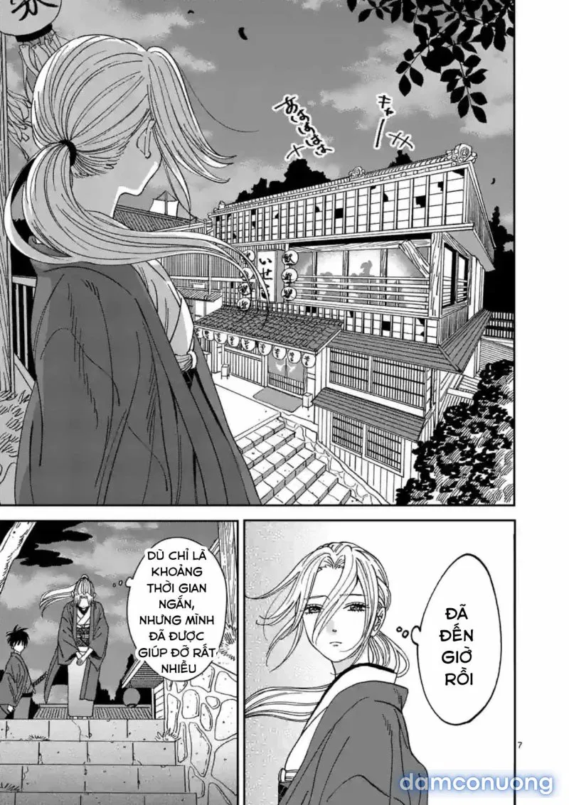 Đám Cưới Đom Đóm 