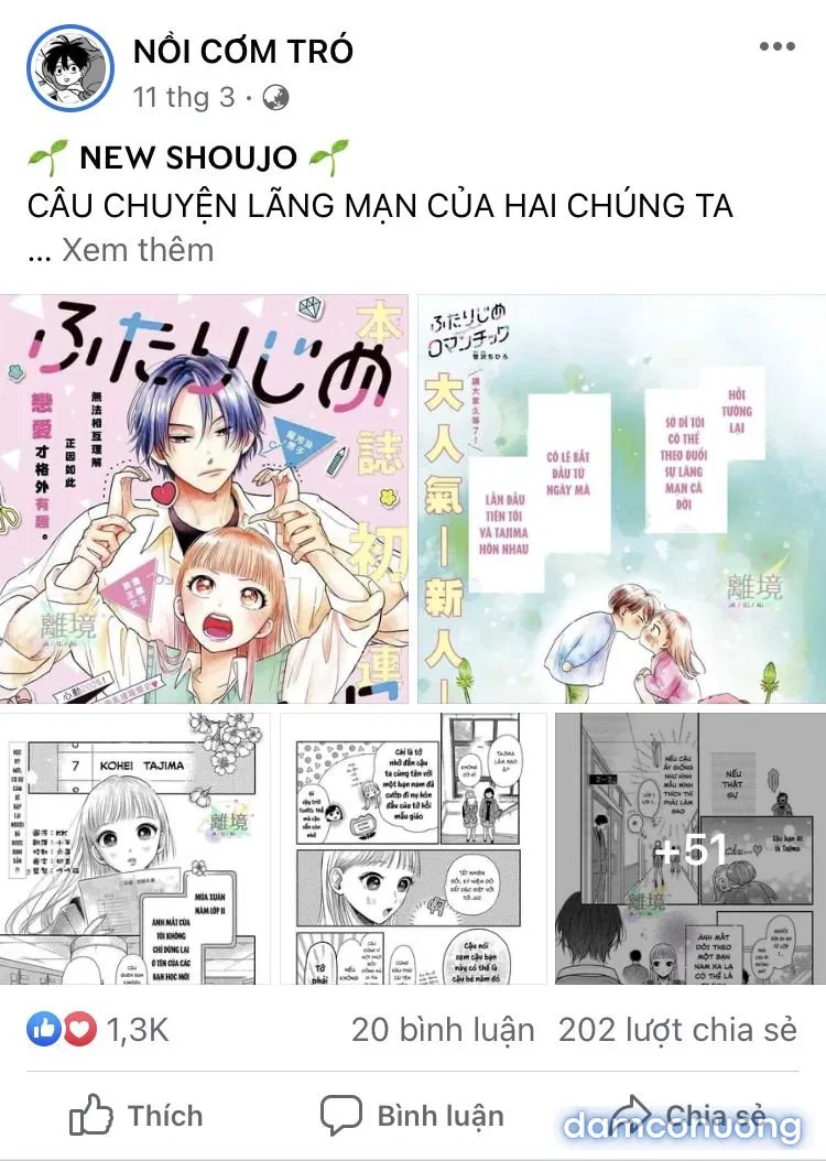Đám Cưới Đom Đóm 