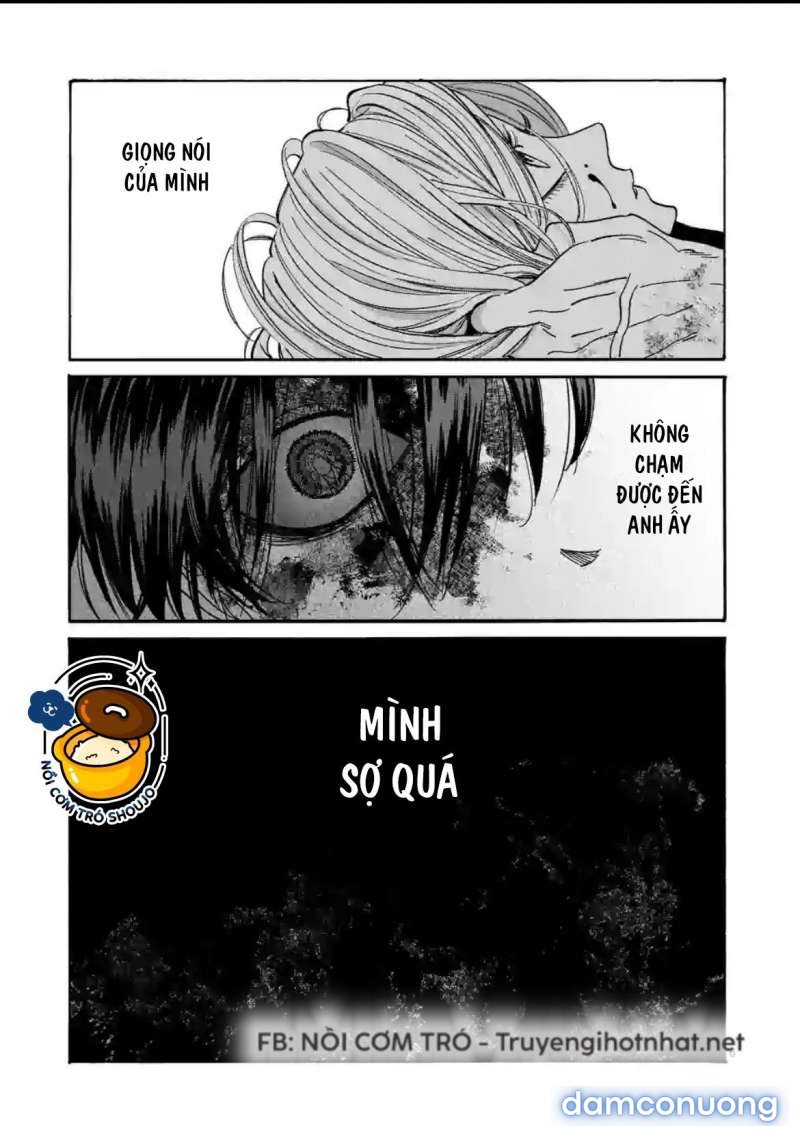 Đám Cưới Đom Đóm 