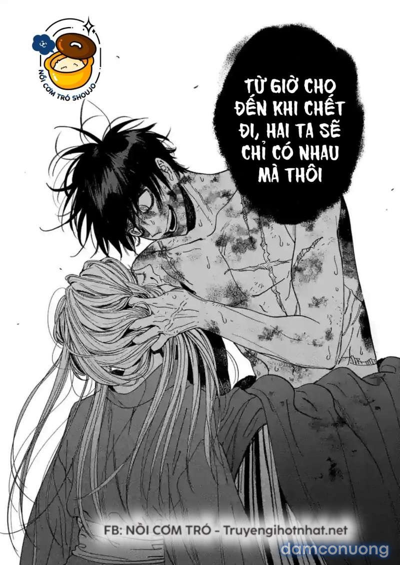 Đám Cưới Đom Đóm 