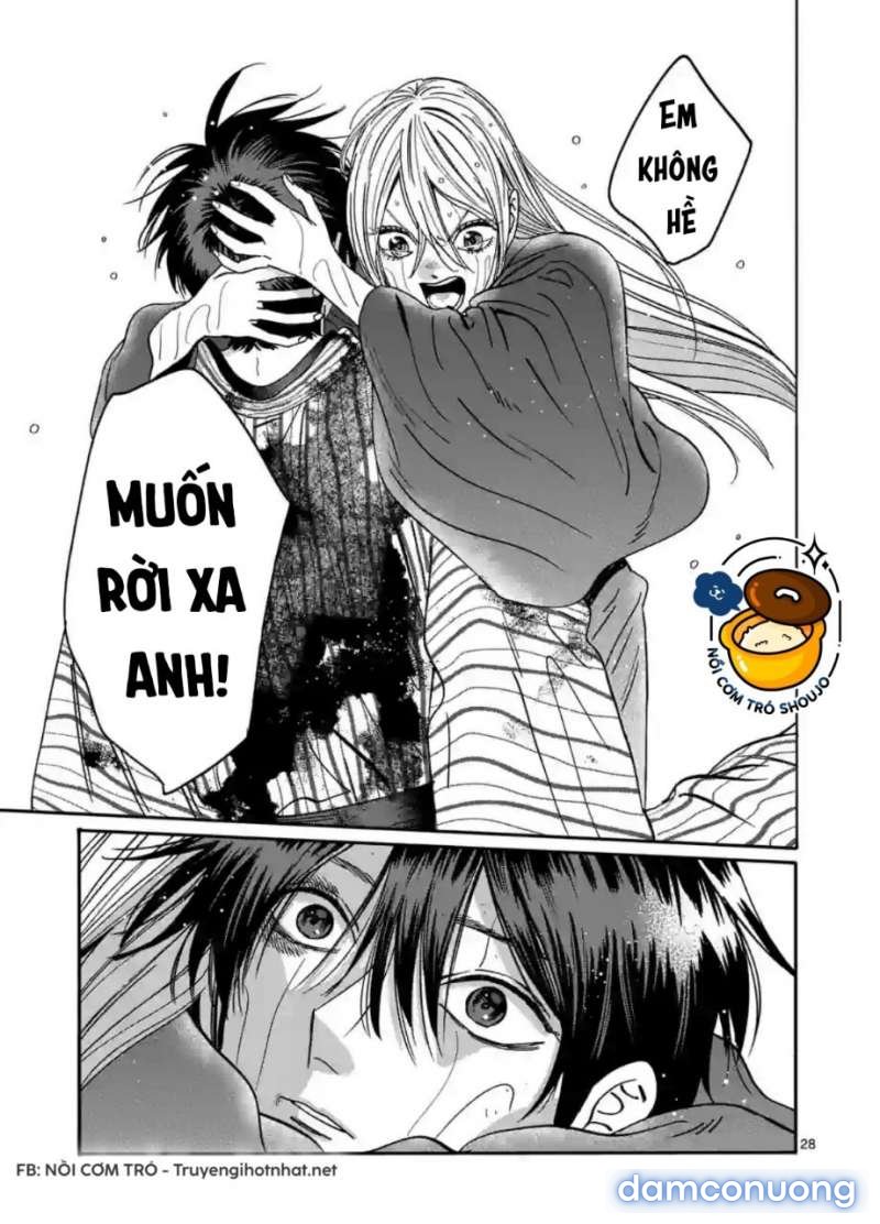 Đám Cưới Đom Đóm 