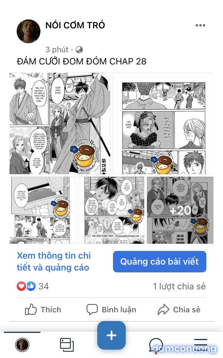 Đám Cưới Đom Đóm 