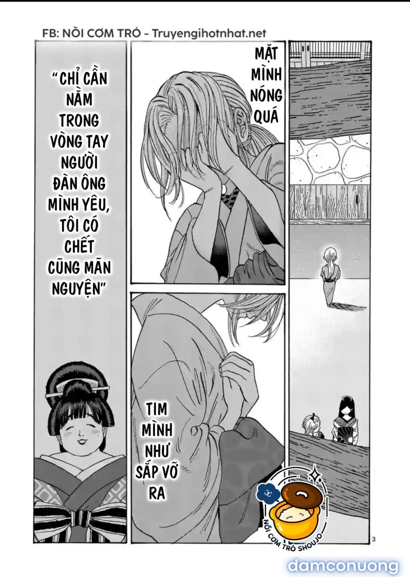 Đám Cưới Đom Đóm 
